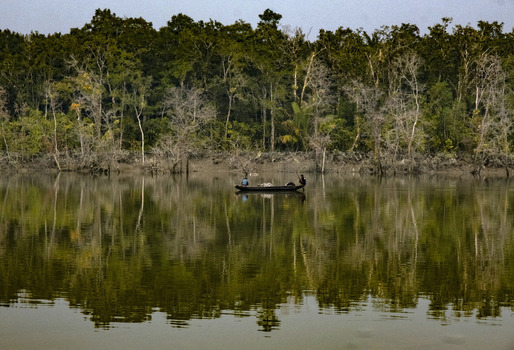 View of fishermen in a small wooden boat on the calm river of the Sundarban mangrove forest with dense trees and reflections in the water in Khulna Khulna Division Bangladesh.