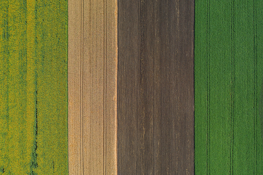 Aerial view of vibrant contrasting fields of green yellow and brown create a patchwork quilt from above Chyhyryns kyi district Cherkasy Oblast Ukraine. Aerial view of vibrant contrasting fields of green yellow and brown create a patchwork quilt from above Chyhyryns kyi district Cherkasy Oblast Ukraine.