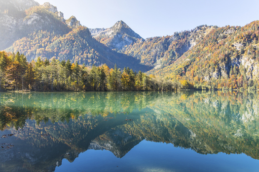 View of Offensee lake reflecting the surrounding mountains and vibrant autumn forest Ebensee Upper Austria Austria. View of Offensee lake reflecting the surrounding mountains and vibrant autumn forest Ebensee Upper Austria Austria.