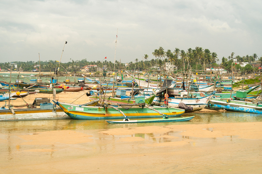 View of traditional colorful outrigger fishing boats moored on the sandy shore under a cloudy sky in Dodanduwa Southern Province Sri Lanka. View of traditional colorful outrigger fishing boats moored on the sandy shore under a cloudy sky in Dodanduwa Southern Province Sri Lanka.