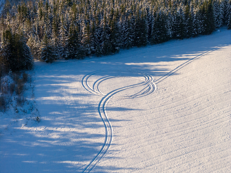 Aerial view of circular tire tracks on a pristine snow covered field bordered by a dense evergreen forest Lithuania. Aerial view of circular tire tracks on a pristine snow covered field bordered by a dense evergreen forest Lithuania.