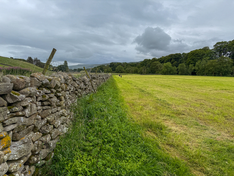 View of a traditional dry stone wall bordering a lush green pasture under an overcast sky in the countryside Hawes England United Kingdom. View of a traditional dry stone wall bordering a lush green pasture under an overcast sky in the countryside Hawes England United Kingdom.