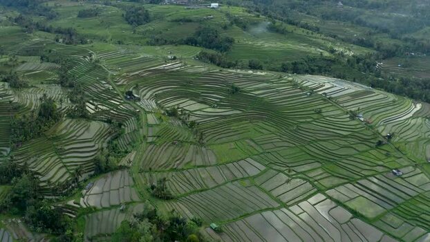 Aerial view of Jatiluwih rice terraces with lush green fields Indonesia.