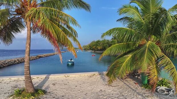 Aerial view of palm trees and a turquoise lagoon in Kendhoo Maldives. Aerial view of palm trees and a turquoise lagoon in Kendhoo Maldives.
