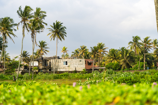 View of a residential building surrounded by tall palm trees and lush tropical vegetation under a cloudy sky in Galle Southern Province Sri Lanka.
