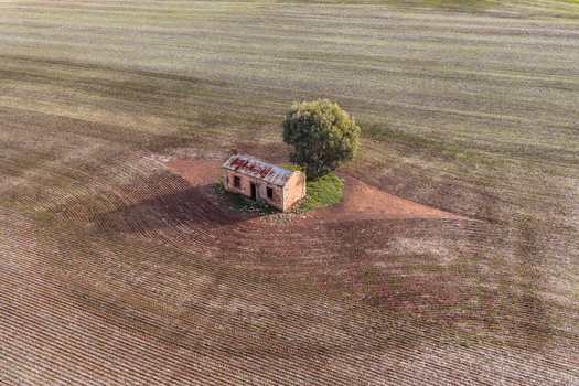 Aerial view of an abandoned stone cottage with a rusty roof and a single tree standing in a vast plowed field in Flinders Ranges South Australia Australia.