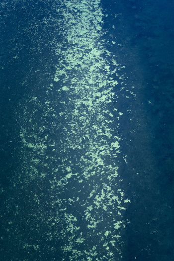 Aerial view of turquoise ocean patterns and coral reefs shimmering in the deep blue water of the Shire of Shark Bay Western Australia Australia. Aerial view of turquoise ocean patterns and coral reefs shimmering in the deep blue water of the Shire of Shark Bay Western Australia Australia.