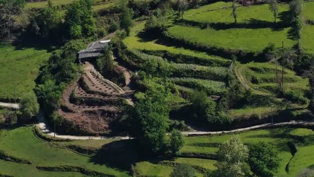 Aerial view of terraced fields with house Portugal. Aerial view of terraced fields with house Portugal.