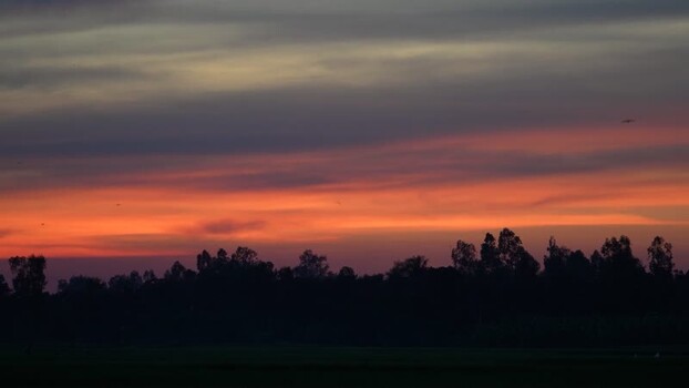 View of a vibrant sunset over silhouetted trees in Bangladesh.