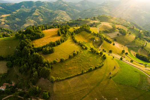 Brasov Romania 21 September 2026 Aerial view of rolling hills and lush green meadows in the Transylvanian countryside with scattered trees haystacks and winding paths under golden hour light. Brasov Romania 21 September 2026 Aerial view of rolling hills and lush green meadows in the Transylvanian countryside with scattered trees haystacks and winding paths under golden hour light.