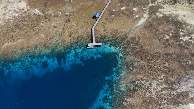 Aerial view of a wooden pier extending into the crystal clear turquoise waters of a coral reef in Raja Ampat Southwest Papua Indonesia.