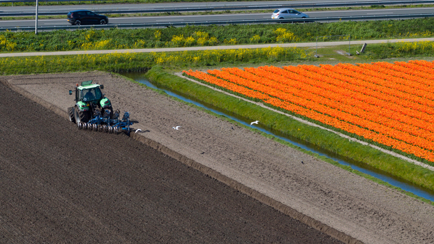 Aerial view of a green tractor plowing dark soil next to a vibrant orange tulip field and a narrow canal under bright sunlight Heiloo North Holland Netherlands. Aerial view of a green tractor plowing dark soil next to a vibrant orange tulip field and a narrow canal under bright sunlight Heiloo North Holland Netherlands.