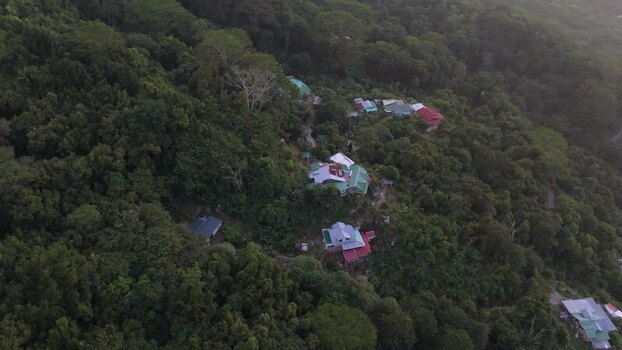 Aerial view of houses in tropical forest on a hillside Seychelles.