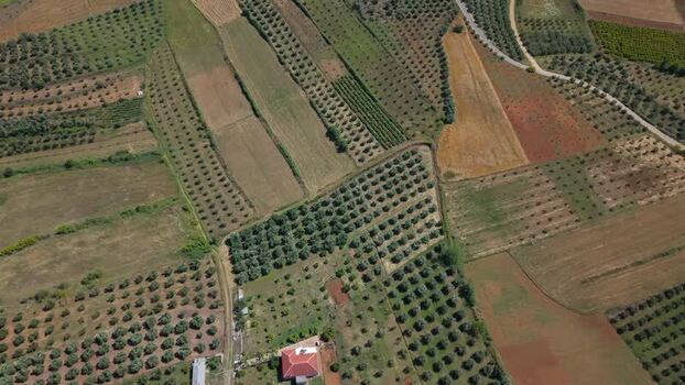 Aerial view of agricultural fields and olive groves in Albania.