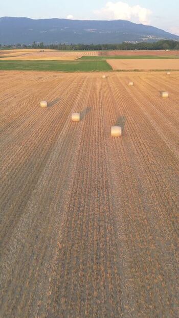 Aerial view of Rural Geneva with hay bales in harvested fields Switzerland.