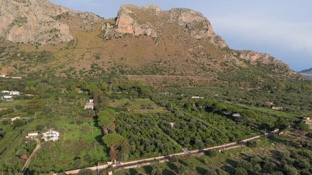 Aerial view of Terrasini landscape and olive groves Italy.