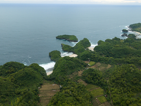 Aerial view of the rugged coastline meeting the calm sea at Sedahan Beach where lush greenery contrasts with the sandy shores Gunungkidul Regency Indonesia. Aerial view of the rugged coastline meeting the calm sea at Sedahan Beach where lush greenery contrasts with the sandy shores Gunungkidul Regency Indonesia.