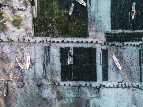 Aerial view of boats scattered across the clear waters revealing the textures of the seafloor and seaweed farms Lembongan Bali Indonesia. Aerial view of boats scattered across the clear waters revealing the textures of the seafloor and seaweed farms Lembongan Bali Indonesia.