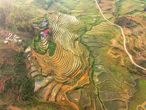 Aerial view of terraced rice fields in the mountains with a winding road and small rural houses in Vietnam. Aerial view of terraced rice fields in the mountains with a winding road and small rural houses in Vietnam.