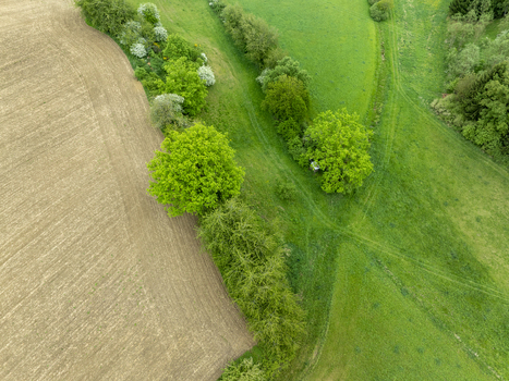 Aerial view of lush green meadows and a plowed agricultural field separated by a row of trees and bushes in the rural countryside of Aiglsbach Bavaria Germany. Aerial view of lush green meadows and a plowed agricultural field separated by a row of trees and bushes in the rural countryside of Aiglsbach Bavaria Germany.