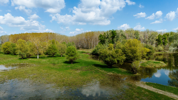 Aerial view of a serene landscape where the water reflects the sky while the trees are in full leaf Kovilj Vojvodina Serbia. Aerial view of a serene landscape where the water reflects the sky while the trees are in full leaf Kovilj Vojvodina Serbia.