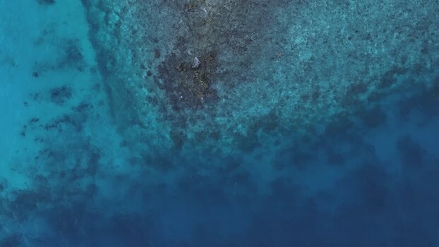 Aerial view of the coral reef edge and turquoise waters in Maldives. Aerial view of the coral reef edge and turquoise waters in Maldives.
