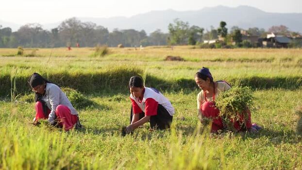 View of women working in a rural field in Dang Nepal.