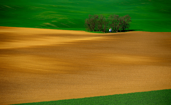 View of a small chapel nestled in a cluster of trees amidst rolling green and brown agricultural fields in the Moravian countryside Brno City District South Moravian Region Czechia.