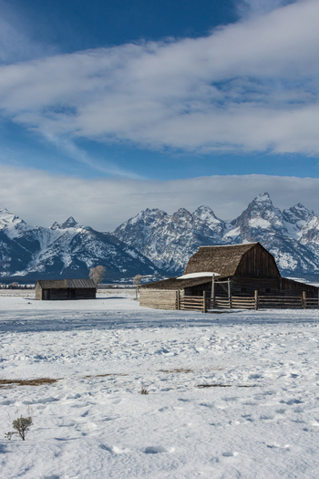 View of the historic Mormon Row barns in Jackson Hole set against the snow covered Teton Range in Teton County Wyoming United States.