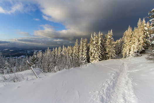 View of a snow laden path cutting through the winter landscape evergreen trees glistening under the sun against a backdrop of imposing clouds Schöckl Styria Austria. View of a snow laden path cutting through the winter landscape evergreen trees glistening under the sun against a backdrop of imposing clouds Schöckl Styria Austria.