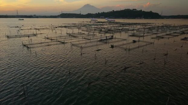 Aerial view of Rowo Jombor lake Indonesia. Aerial view of Rowo Jombor lake Indonesia.