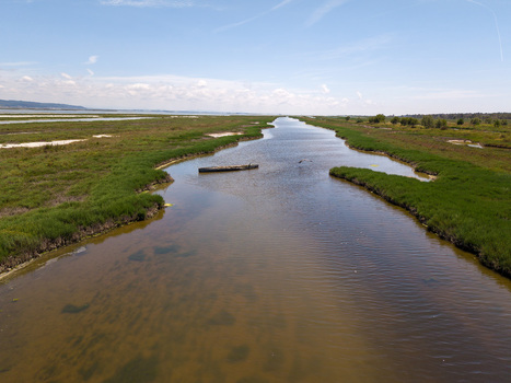 Aerial view of a narrow waterway with a small boat flowing through the lush green marshlands of Karavasta Lagoon in Divjake Fier County Albania.