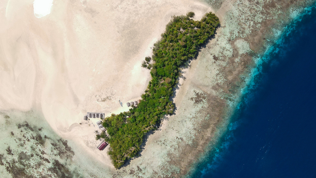 Aerial view of Raja Ampat island featuring white sand beaches dense tropical vegetation and vibrant coral reefs surrounded by turquoise waters in Raja Ampat Southwest Papua Indonesia.