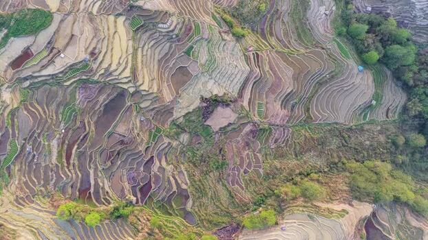 Aerial view of rice terraces in Yuanyang China.