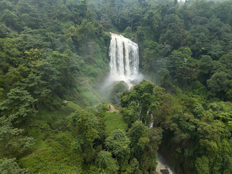 Aerial view of a majestic waterfall cascading through a dense verdant forest with a visible pathway leading to its base Curugsewu Kendal Regency Central Java Indonesia. Aerial view of a majestic waterfall cascading through a dense verdant forest with a visible pathway leading to its base Curugsewu Kendal Regency Central Java Indonesia.