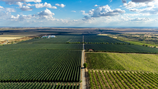 Aerial view of Deuric winery featuring vast rows of grapevines and fruit trees in the rural landscape of Mala Remeta Vojvodina Serbia. Aerial view of Deuric winery featuring vast rows of grapevines and fruit trees in the rural landscape of Mala Remeta Vojvodina Serbia.