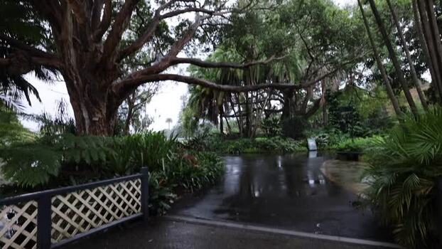 View of Royal Botanic Garden Sydney Australia.