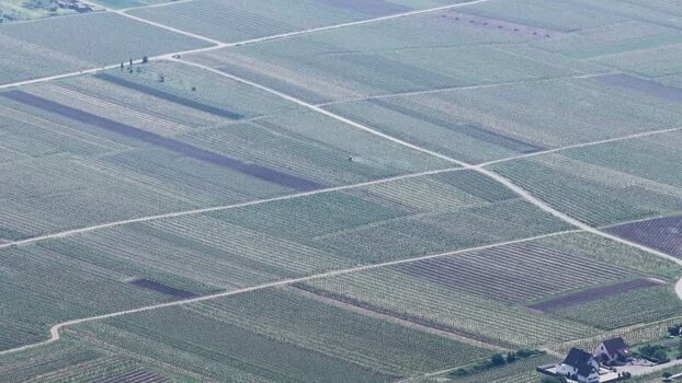 Aerial view of agricultural fields and vineyards France.