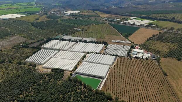 Aerial view of Gomalor greenhouse facility in Tuxpan Mexico. Aerial view of Gomalor greenhouse facility in Tuxpan Mexico.