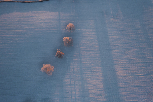 Aerial view of a line of four trees casting long shadows across a frost covered field during the golden hour in Marston England United Kingdom. Aerial view of a line of four trees casting long shadows across a frost covered field during the golden hour in Marston England United Kingdom.