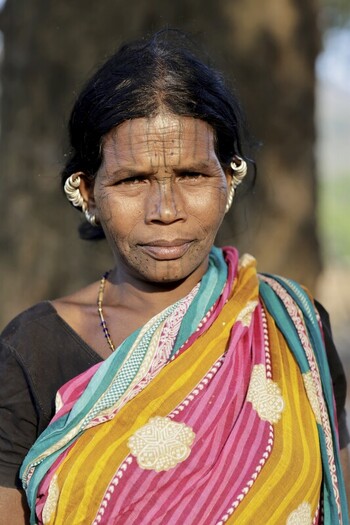 Odisha India 26 March 2026 View of an Indigenous woman with intricate facial tattoos and ear adornments draped in vibrant saree radiating cultural richness. Odisha India 26 March 2026 View of an Indigenous woman with intricate facial tattoos and ear adornments draped in vibrant saree radiating cultural richness.