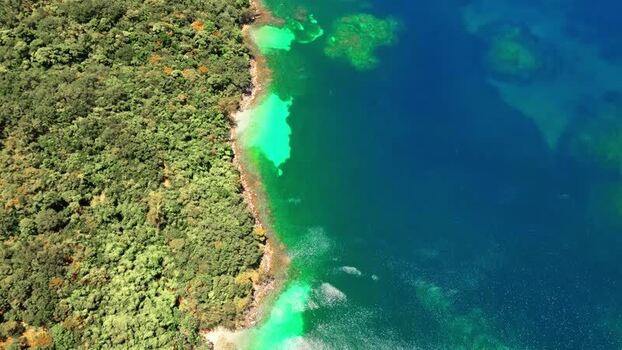Aerial view of lush tropical forest and coral reefs in Honduras. Aerial view of lush tropical forest and coral reefs in Honduras.