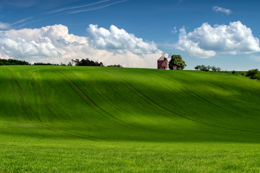 View of a traditional windmill standing on a rolling green hill under a bright blue sky with fluffy white clouds in the Moravia region Brno City District South Moravian Region Czechia.