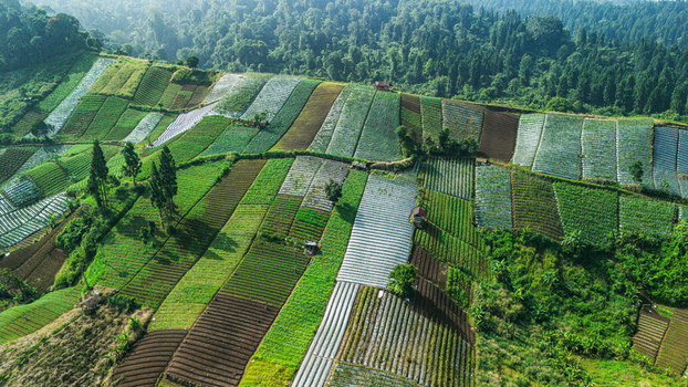 Aerial view of terraced agricultural fields on a lush hillside bordered by dense tropical forest in Sukabumi West Java Indonesia. Aerial view of terraced agricultural fields on a lush hillside bordered by dense tropical forest in Sukabumi West Java Indonesia.