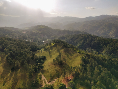 Aerial view of the lush mountainous landscape of Jarabacoa featuring pine forests rolling grassy hills and a hazy atmosphere in Jarabacoa La Vega Province Dominican Republic.