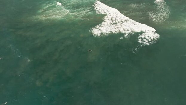 Aerial view of waves and surfers at La Jolla Cove United States.