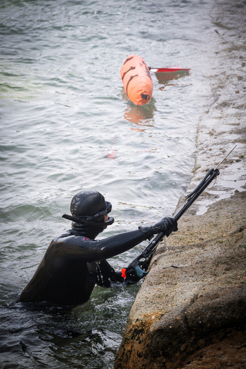 View of a spearfisherman in a black wetsuit holding a speargun while emerging from the water near a rocky shore with an orange buoy floating nearby in Cascais Lisbon Portugal.