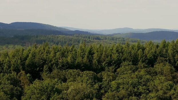 Aerial view of dense forest in Lahn Dill district Germany.