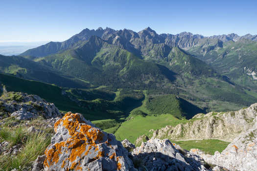 View of the Zdiarska vidla peak in the Belianske Tatry mountains with lush green valleys and rocky foreground under a clear blue sky Zdiar Presov Region Slovakia. View of the Zdiarska vidla peak in the Belianske Tatry mountains with lush green valleys and rocky foreground under a clear blue sky Zdiar Presov Region Slovakia.