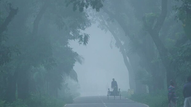 View of a rickshaw on a foggy road in Bogura Bangladesh. View of a rickshaw on a foggy road in Bogura Bangladesh.